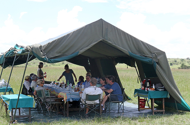 Stay and Do > African Safaris