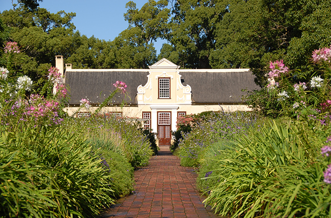 South Africa Wines: An Underdog Story