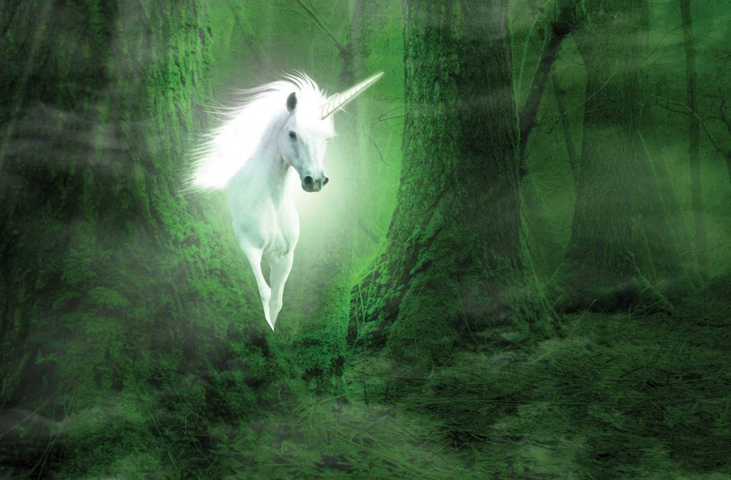 Unicorns Ahead
