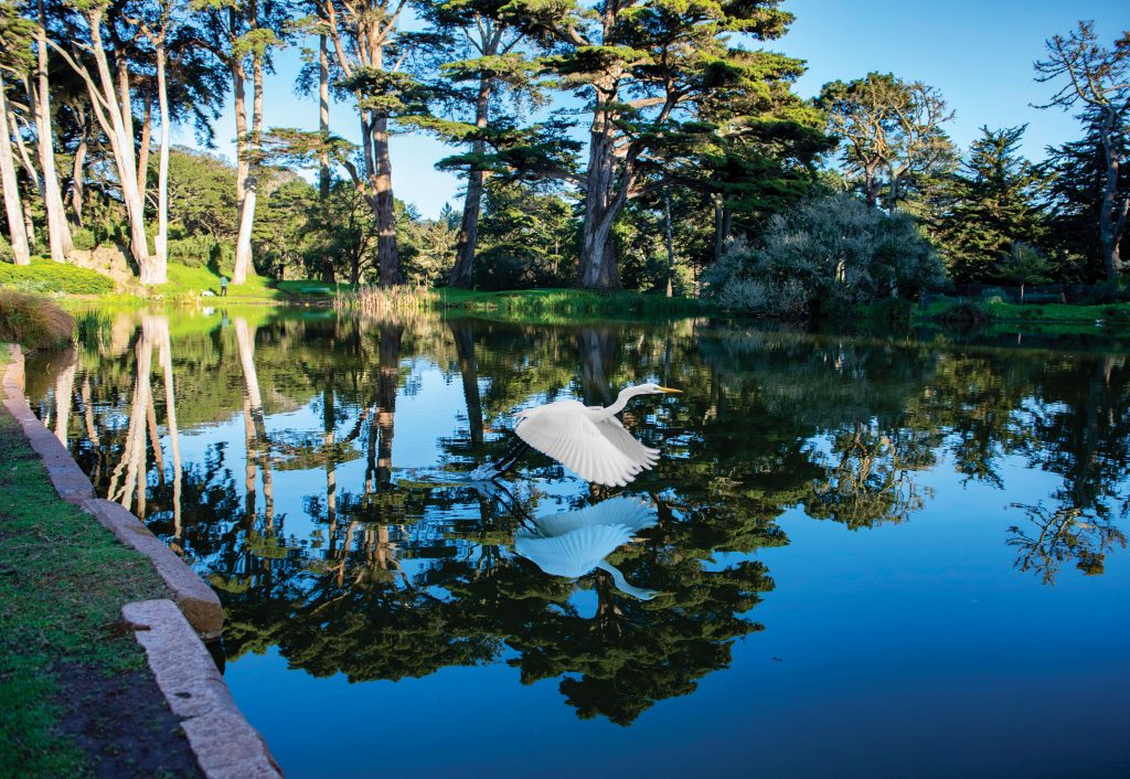 San Francisco's Golden Gate Park Turns 150