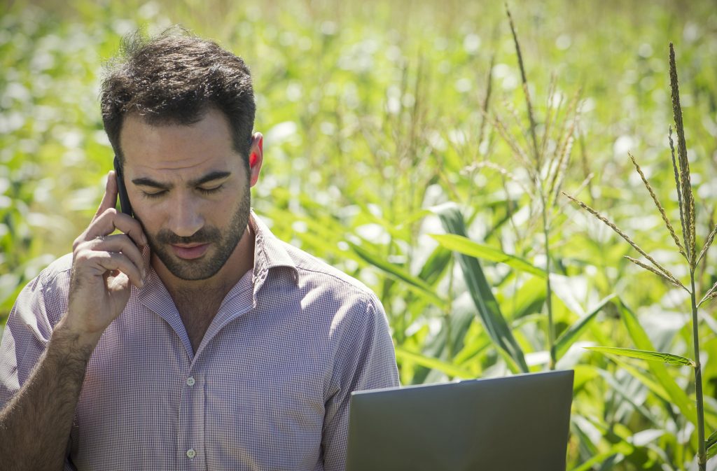 Insurtech Farm