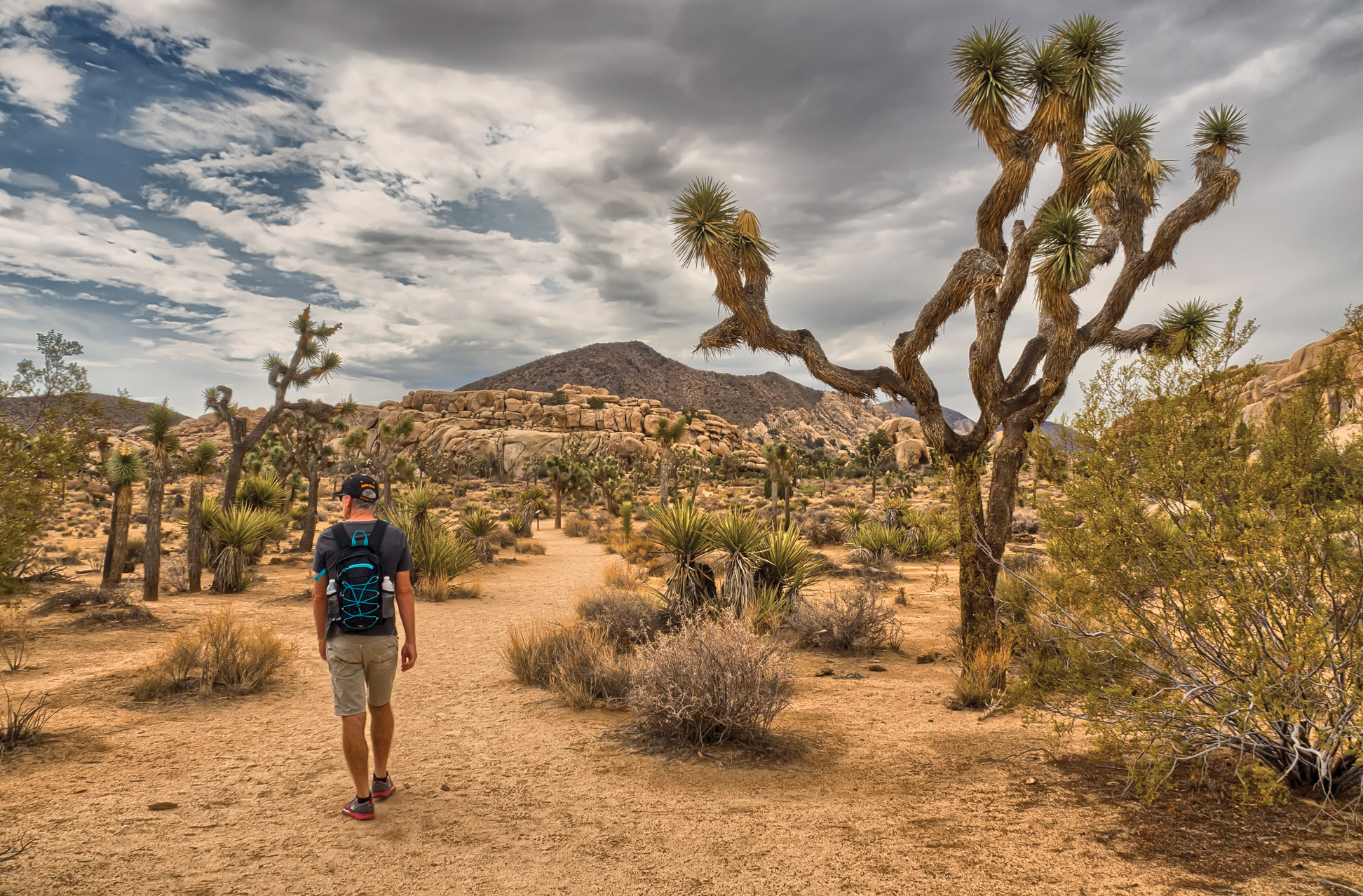 Stay, Eat, Do: Palm Springs Desert