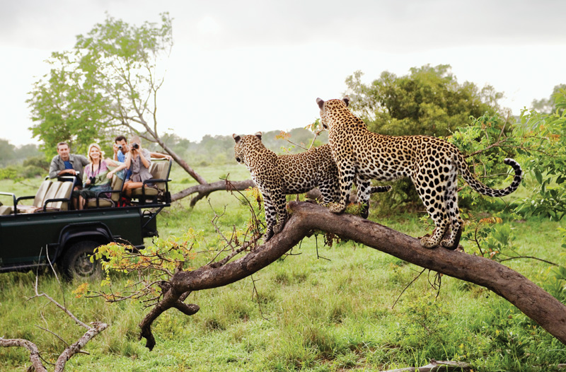 Wanderlust: Africa