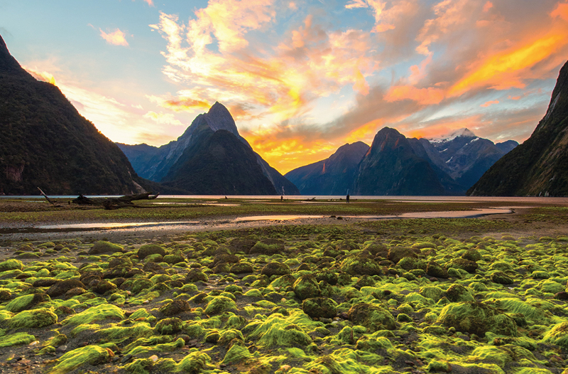 New Zealand Might Be Perfect