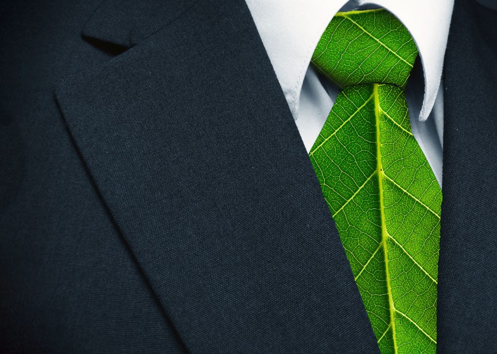 D&O in the Murky Waters of ESG