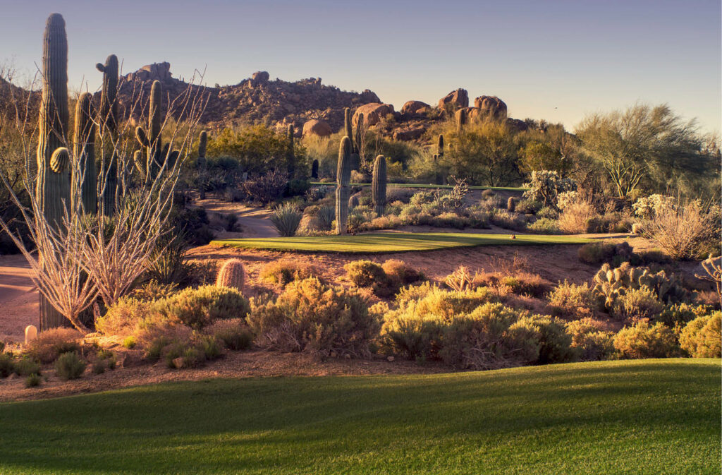 Tee Off Around the World