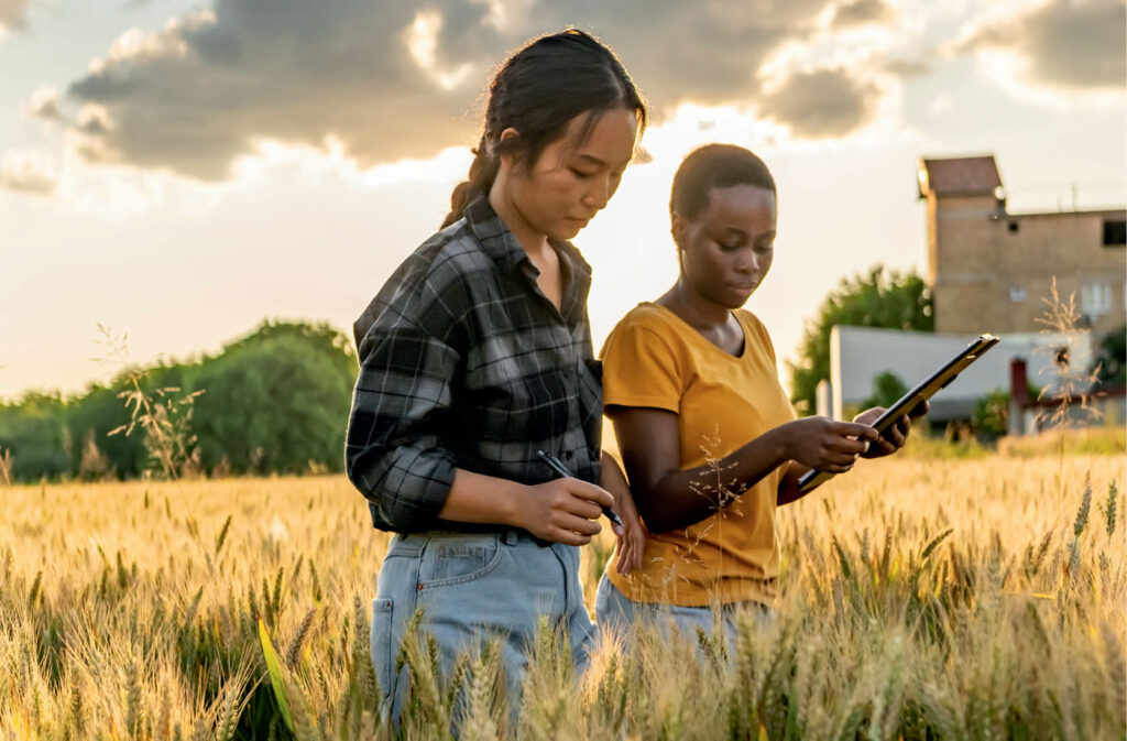 Strengthening Crop Insurance