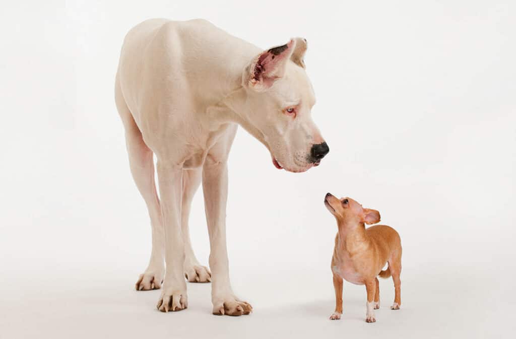 Smaller Lines, Bigger Profits