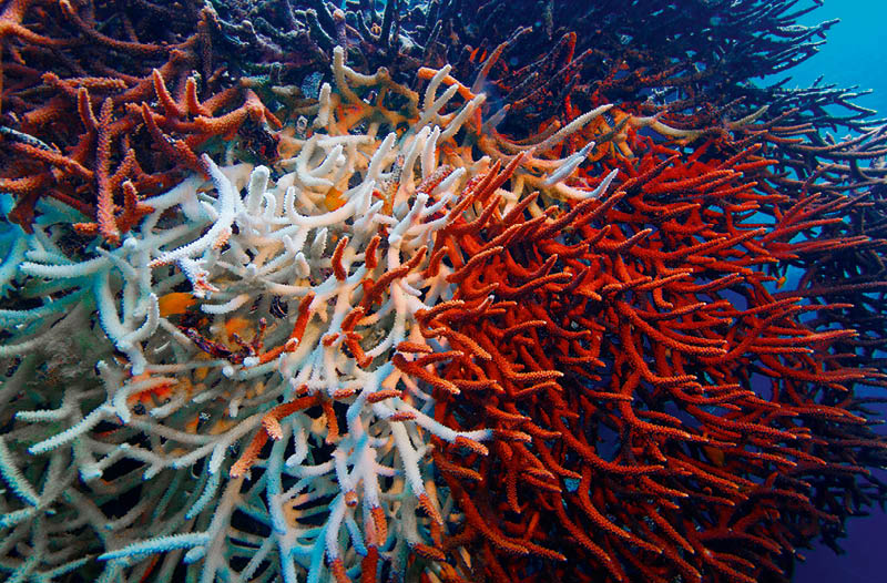 Saving Nature Saves Money