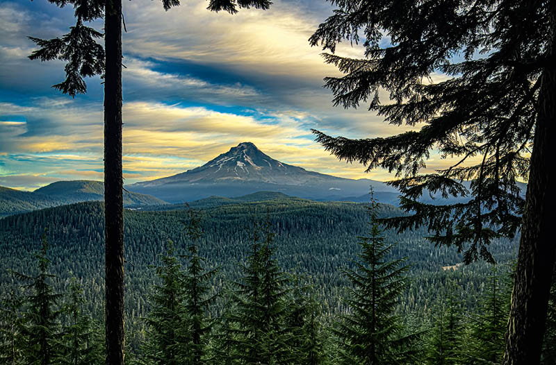 Leave the Coffee Shops Behind