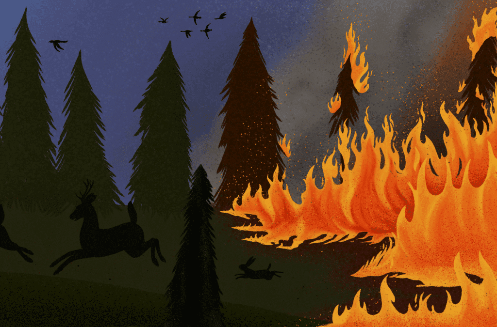 Legislating Wildfire Risk Reduction