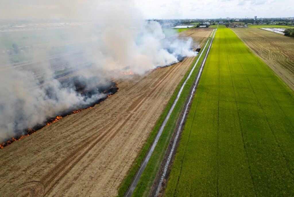 Burning Parallels: Wildfire Risk on Both Sides of the Atlantic